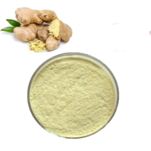 Hot Sale 100% Natural Organic Water Soluble Ginger Extract Powder